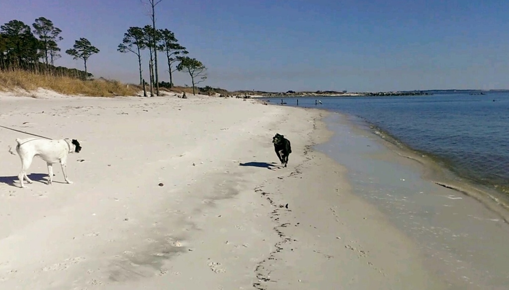 VIDEO0109_0000013047 (1024x584)