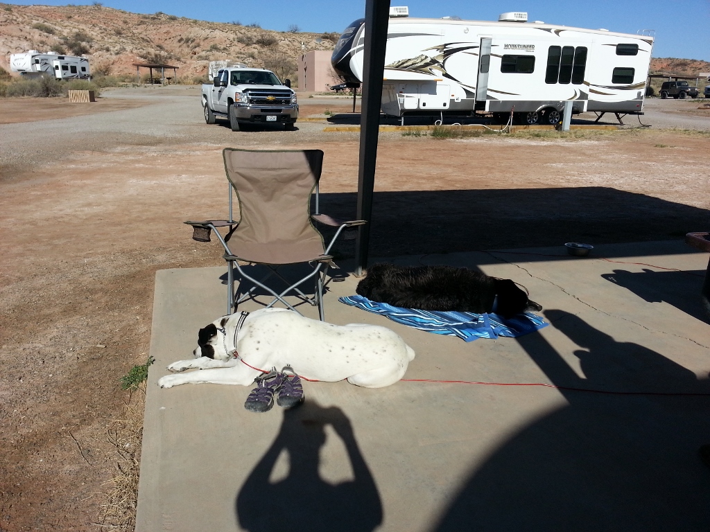 20140324_163724 (1024x768)