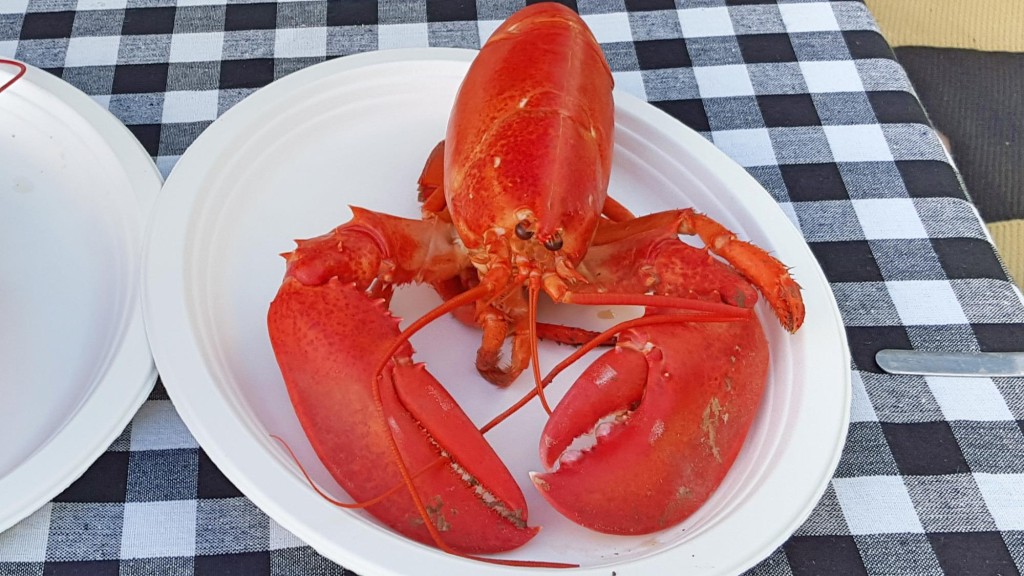 lobster6